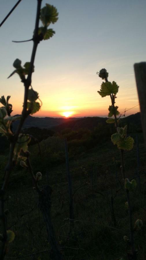 Momperone Oasi Di Mastarone - Il Vino E Le Rose 빌라 외부 사진